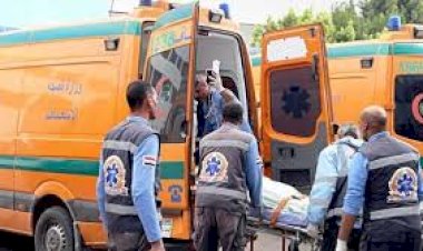 إصابة 5 أشخاص بحادث تصادم أتوبيس ركاب بسيارة نقل بطريق أسوان - أبو سمبل البرى