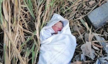 العثور على جثة رضيع ملقاة بجوار كوبري في قنا