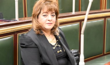 سؤال برلماني بشأن حوادث التحرش في المدارس