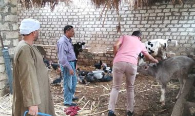 تحصين 480 ألف طائر و294 ألف رأس ماشية من الأمراض الوبائية خلال عام 2025