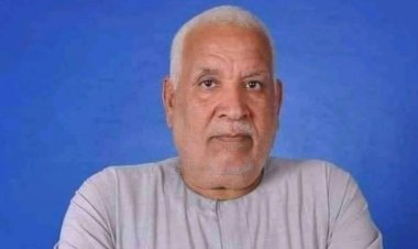 برلماني: الاستقرار الأمني والمشروعات القومية يدفعان السياحة المصرية لآفاق غير مسبوقة