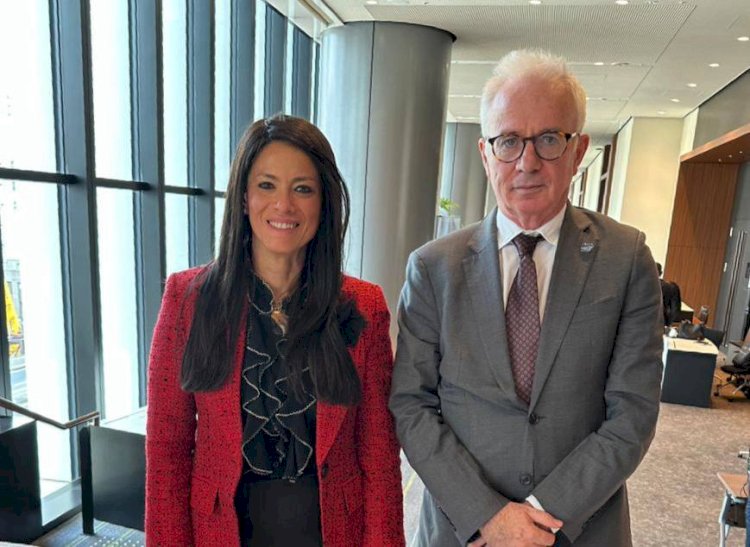 وزيرة التخطيط تعقد لقاءات مكثفة مع مسئولي الحكومات والمؤسسات الدولية والإفريقية