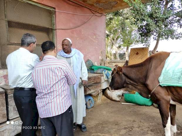 3 قوافل بيطرية مجانيه نهاية الشهر الحالى فى المنوفية