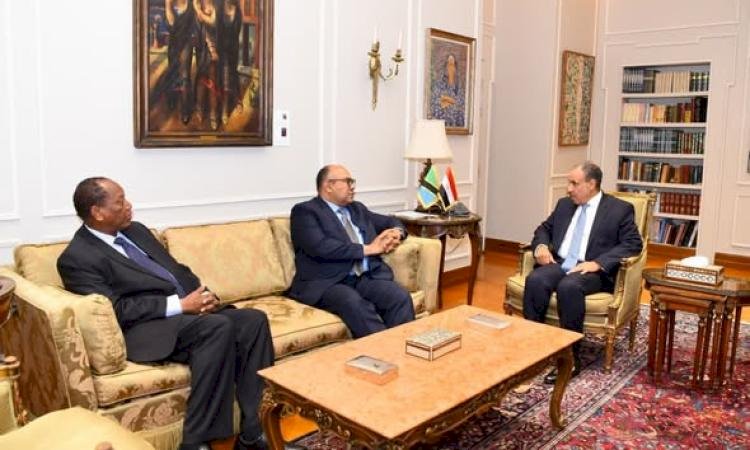 وزير الخارجية يلتقي نظيره التنزاني