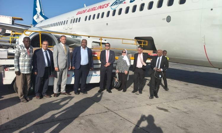 مصر ترسل قافلة طبية نوعية ومستلزمات علاجية وأدوية إلى السودان