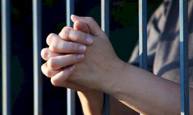 السجن المشدد لـ4 أصحاب شركات لاتهامهم بالتهرب الضريبى