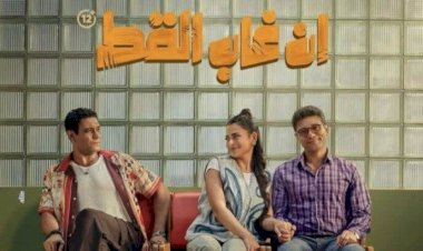 تعرف على حجم إيرادات فيلم إن غاب القط خلال 10 أيام عرض بالسينمات