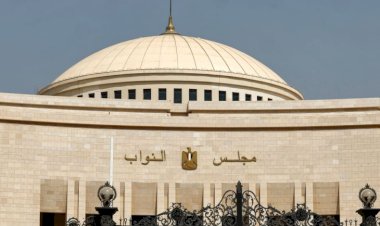 إكسترا نيوز: تعيين نشوة سليمان وأمل عصفور ويارا عفت وشيرين طايل بمجلس النواب