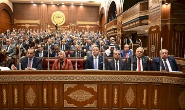 رئيس مجلس الشيوخ يعلن تشكيل لجنة القيم