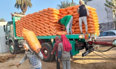 "الزراعة" تُكثف حملاتها الرقابية في 6 محافظات للتأكد من وصول الأسمدة المدعمة لمستحقيها والتيسير على المزارعين