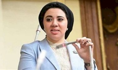 أمين سر حقوق الإنسان بالشيوخ تطالب بمنصة رقمية موحدة لكافة خدمات ذوى الإعاقة