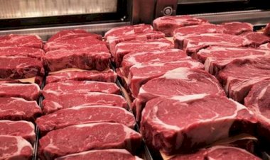 أسعار اللحوم في مصر اليوم الإثنين