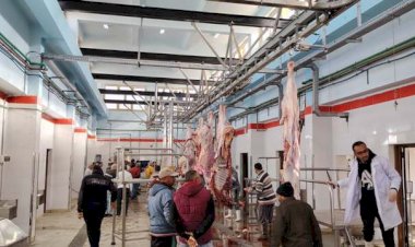 وزيرة التنمية تعلن التشغيل التجريبي لمجزر مدينة موط بالوادي الجديد بتكلفة 21 مليون جنيه