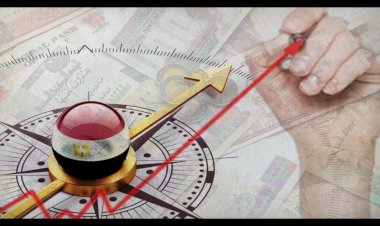 كيفية مواجهة التحديات الاقتصادية في استهلاك الأسر.. فيديو