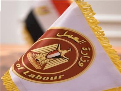 وزارة العمل تُعلن عن فرص عمل جديدة بمشروع الضبعة النووية بالتعاون مع شركة «نيكيمت»