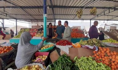 أسعار الخضار والفاكهة في الأسواق اليوم الثلاثاء