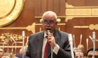 حازم الجندى: «حياة كريمة» أصبحت نموذجا يحتذى به فى إدارة مشروعات التنمية