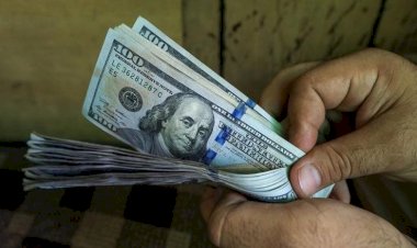 أسعار الدولار في مصر اليوم الاربعاء 