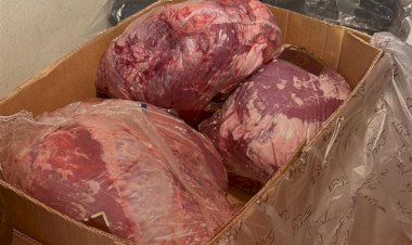 ضبط كميات من لحوم الأحصنة واللحوم الفاسدة والأسماك في بني سويف