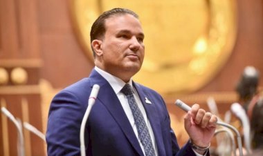 برلماني: دعم الإنتاج المحلي وتطوير القطاعين الزراعي والحيواني حجر أساس لتحقيق الاكتفاء الذاتي