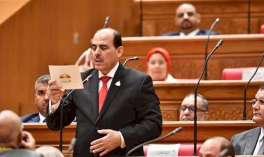 نائب: الشراكة بين مصر والسعودية تجاوزت الطابع التقليدي لمرحلة التكامل