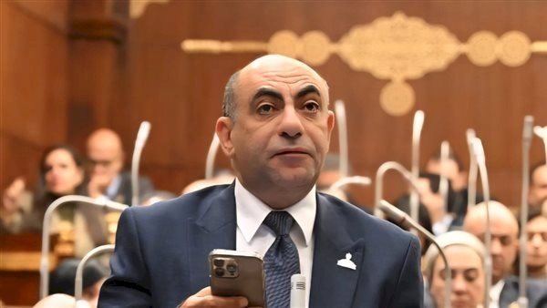 النائب محمد إبراهيم موسى يطالب بـ "غلق الفيس بوك وحظر التيك توك" لحماية الأطفال من مخاطر السوشيال ميديا