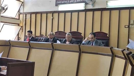 جنايات بورسعيد تحيل أوراق سائق إلى المفتى لاتهامه بقتل زوجته فى الضواحى