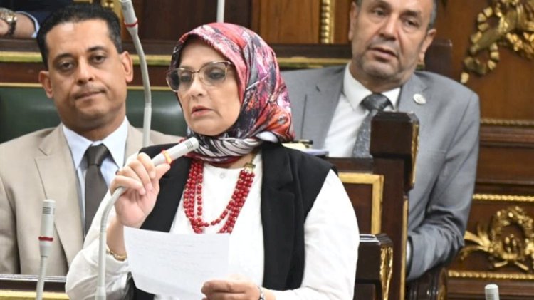 برلمانية: أهمية التوازن بين تنمية الاقتصاد وحماية استقرار الخدمات للمواطنين