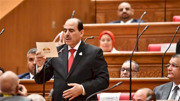 نائب: الشراكة بين مصر والسعودية تجاوزت الطابع التقليدي لمرحلة التكامل