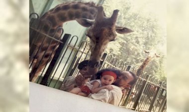 مع الزرافة والنمر.. هنا الزاهد تسترجع ذكريات طريفة مع عائلتها من الطفولة